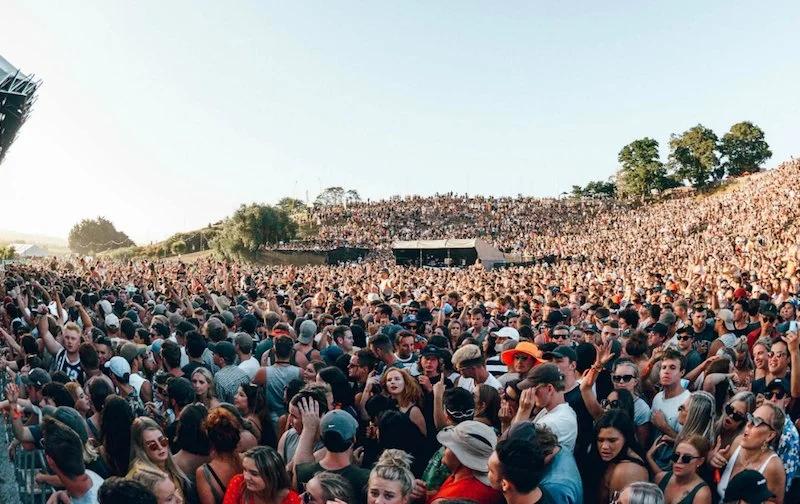 Music in The Vines
