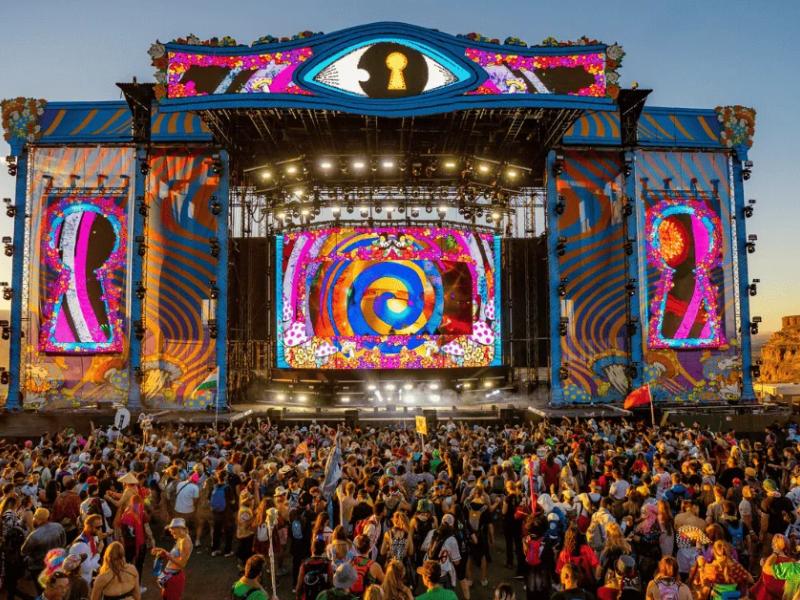 Nocturnal Wonderland