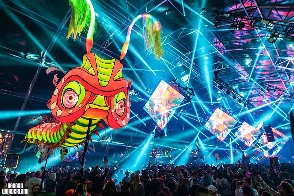 Nocturnal Wonderland 3