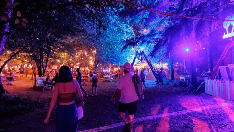 Pickathon 3