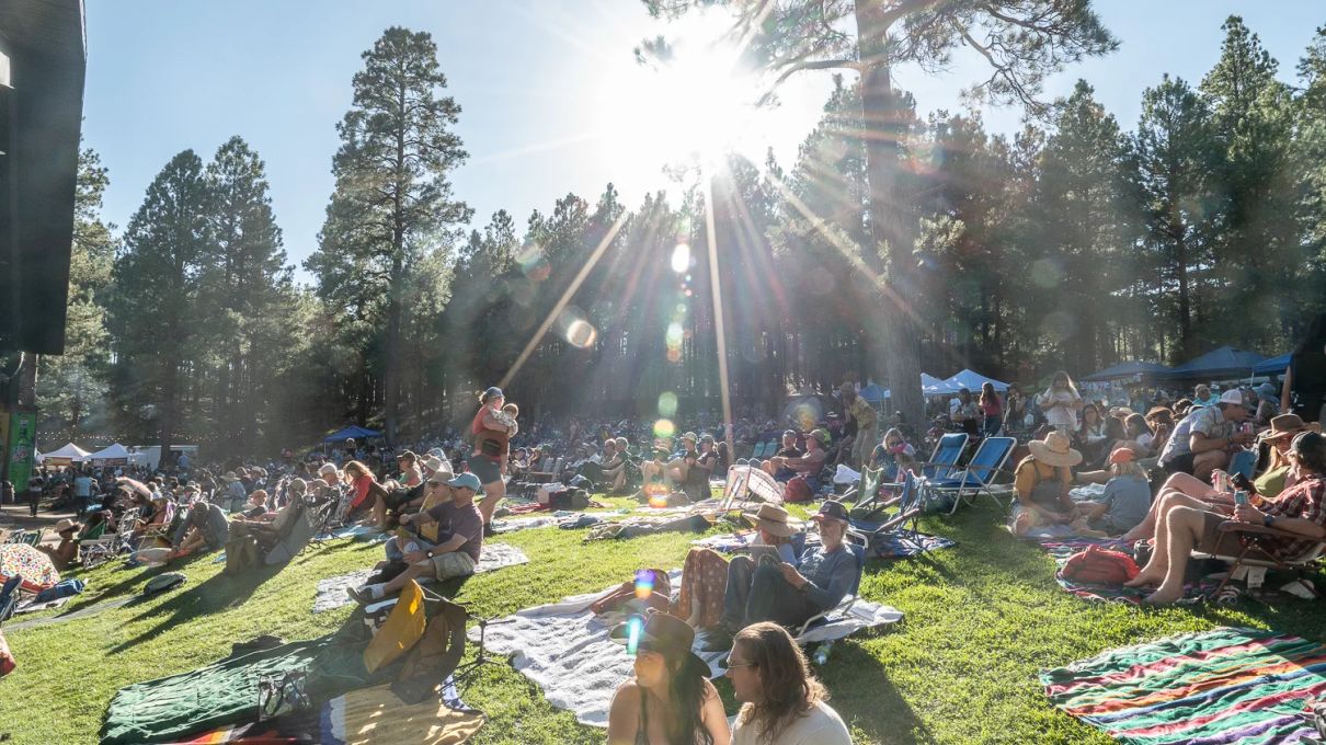 Pickin' in the Pines 2
