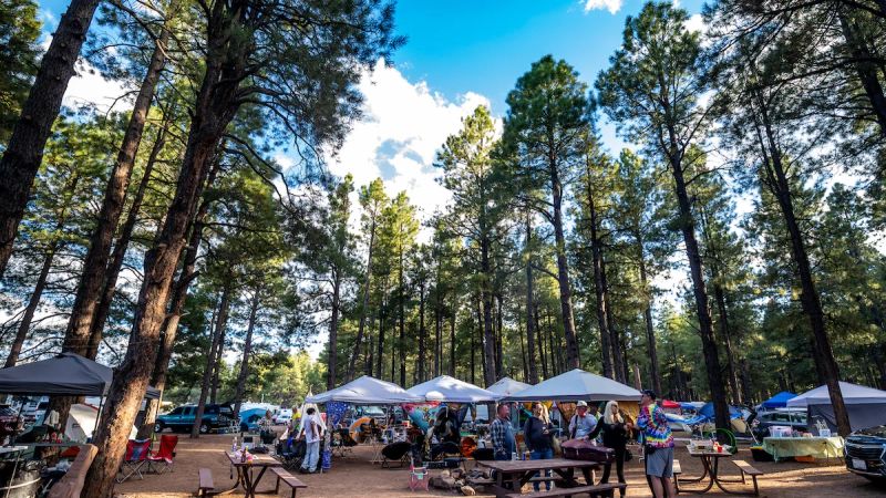 Pickin' in the Pines 3