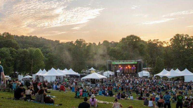 Picture On Festival 3