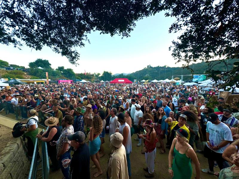 Reggae On The Mountain
