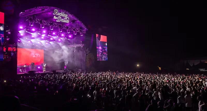 Rocking the Daisies