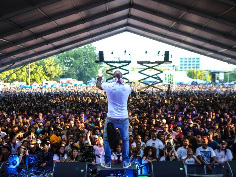 Roots Picnic