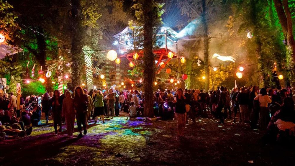 Shambala Festival 3