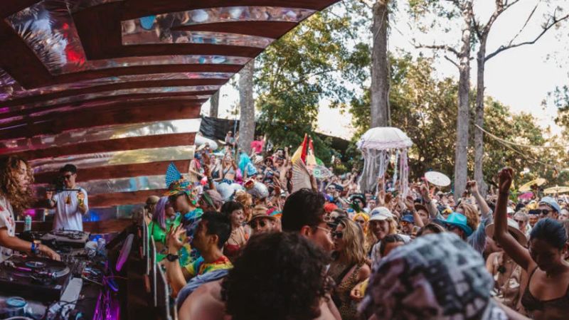 Subsonic Music Festival 3