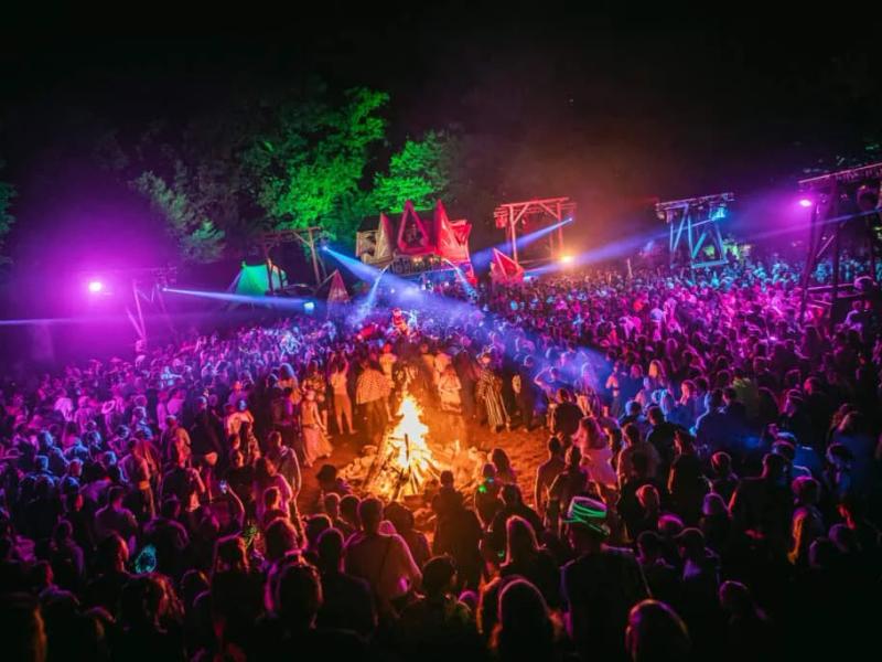 Summer Contrast Festival