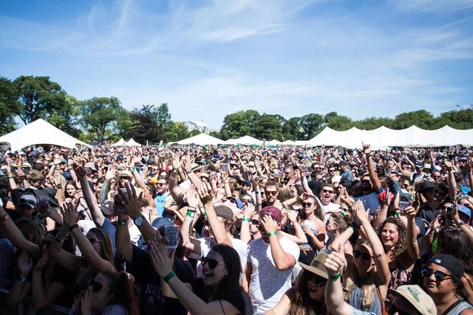 The Great Kiwi Beer Festival 2