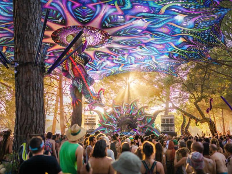 Trance In The Woods