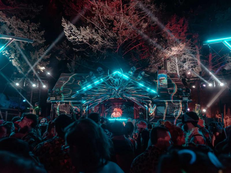 Wicked Woods Festival