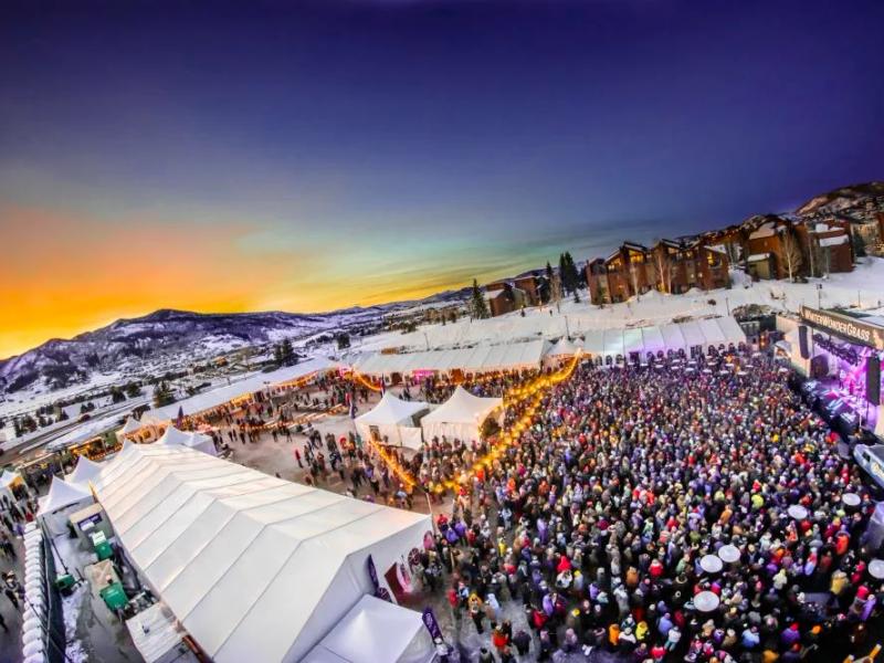 WinterWonderGrass Colorado