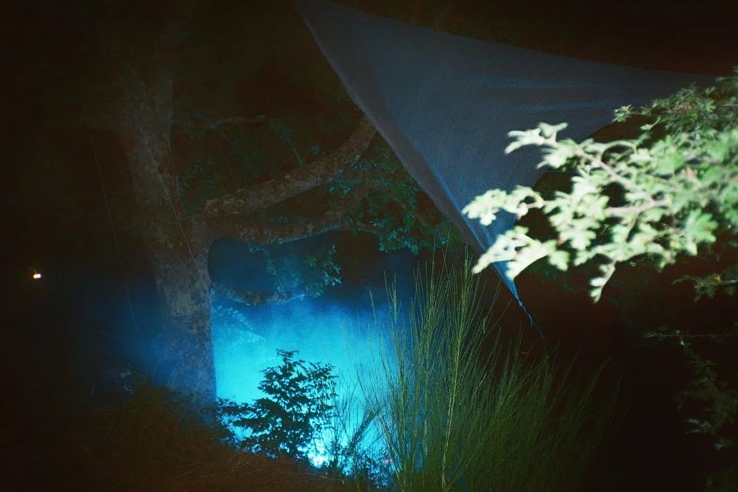 Hütte In The Forest